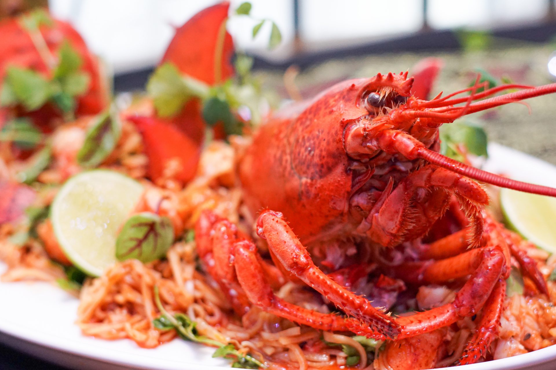 Le Farsides_Drunken Lobster Pad Thai