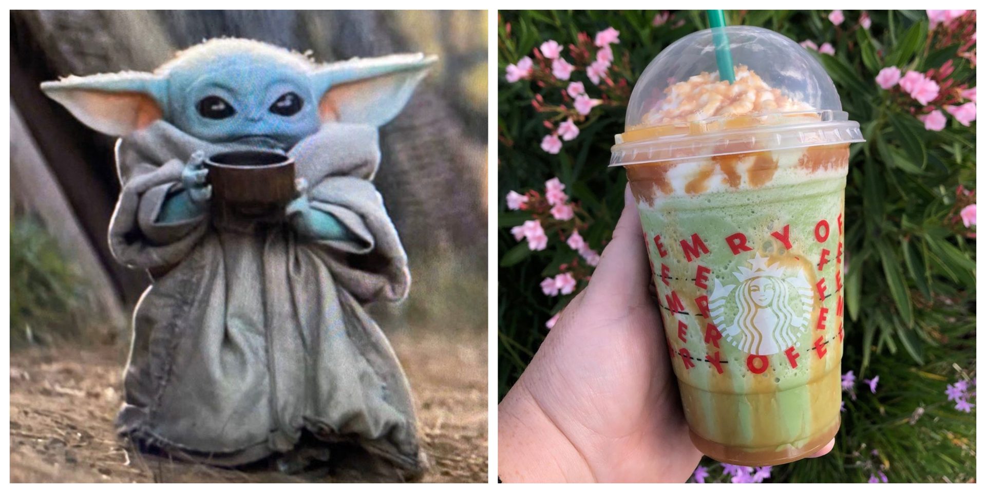 Offrez Vous Une Boisson A L Effigie De Baby Yoda Chez Starbucks Nightlife