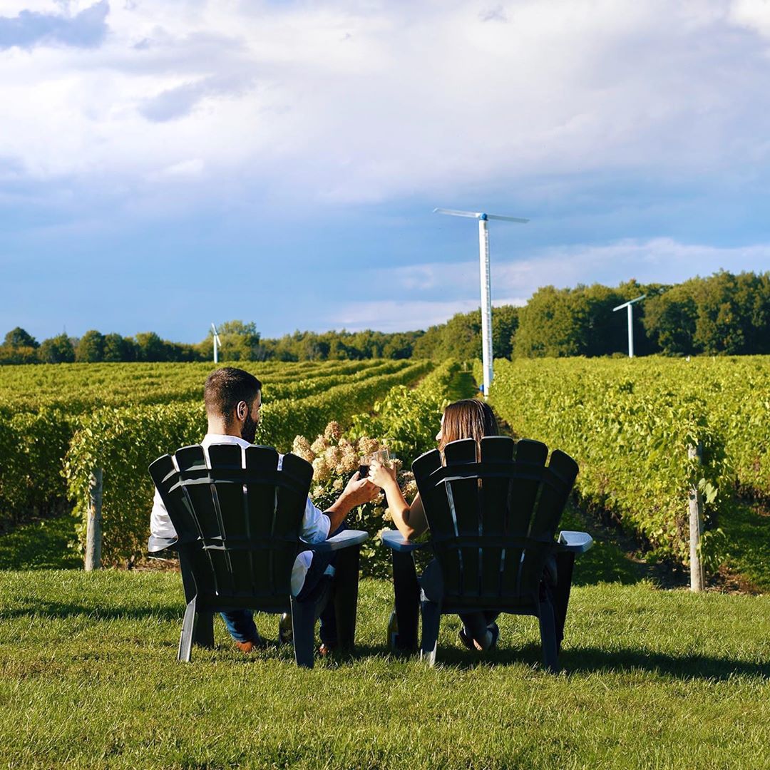 Vignoble Rivière du chêne