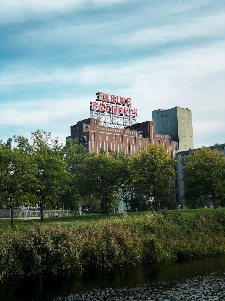Farine Five Roses