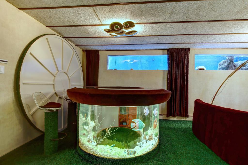 Mini-bar aquarium