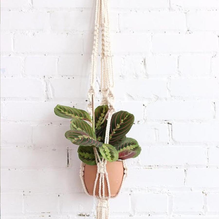 Kit DIY Jardinière en macramé