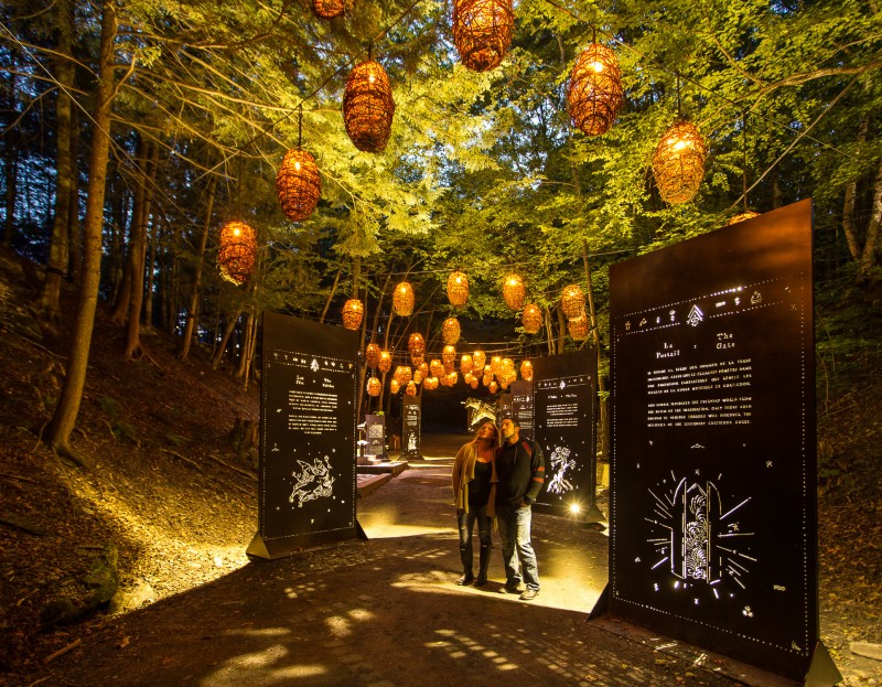 Foresta Lumina