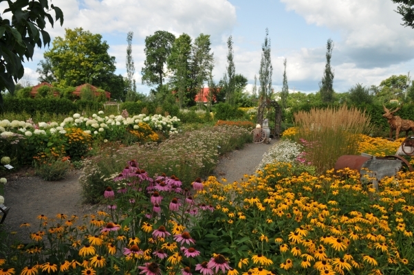La Route des Gerbes d’Angelica
