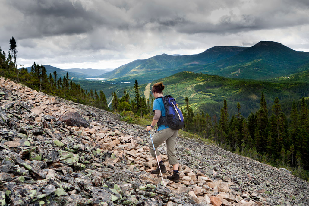 Parc national de la Gaspésie