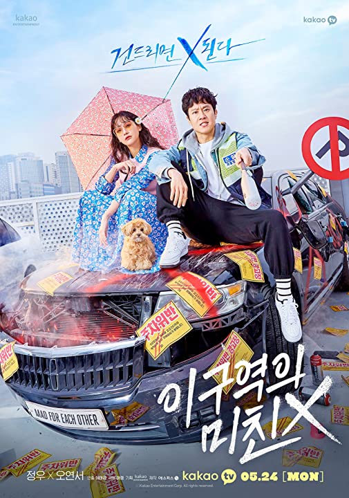 Mad for Each Other (Yi Guyeokui Michin X)