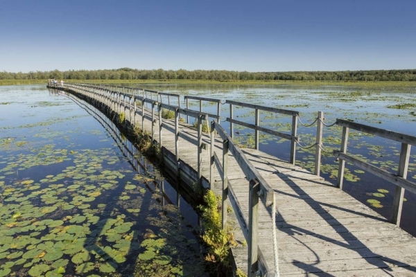 Parc National d'Oka