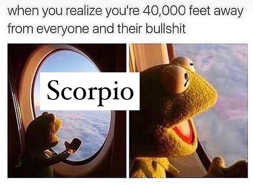 Scorpion