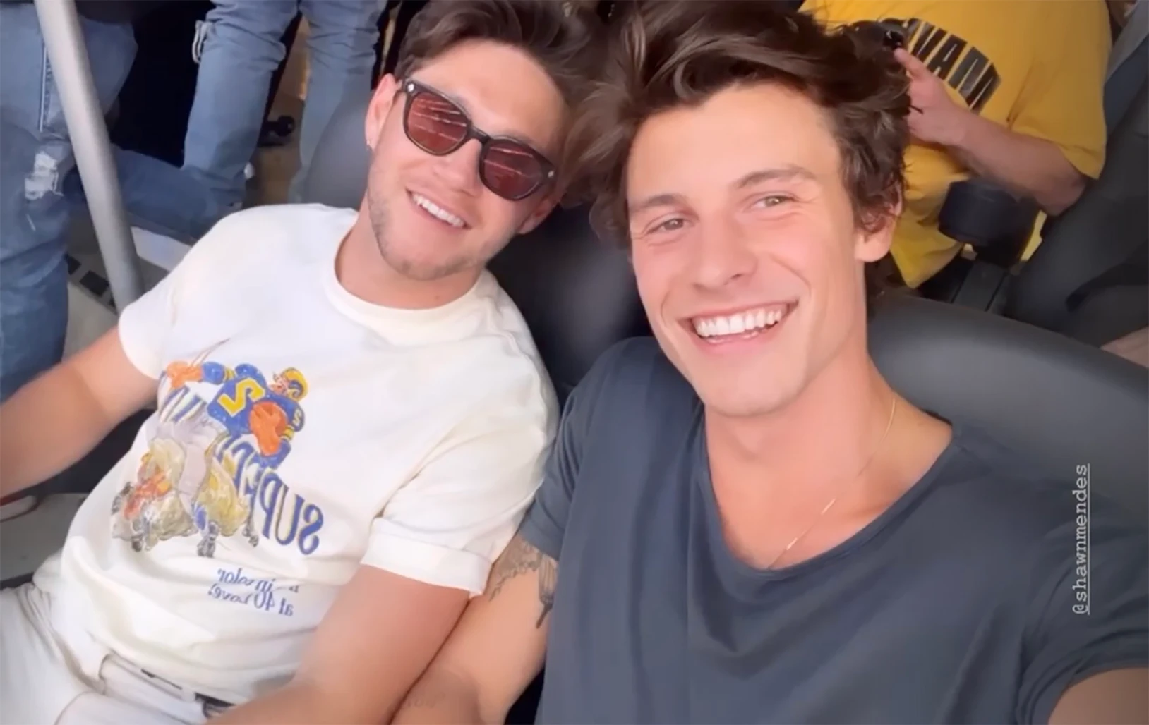 Shawn Mendes & Niall Horan