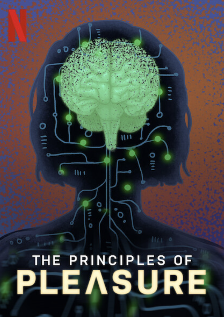 The Principles of Pleasure
