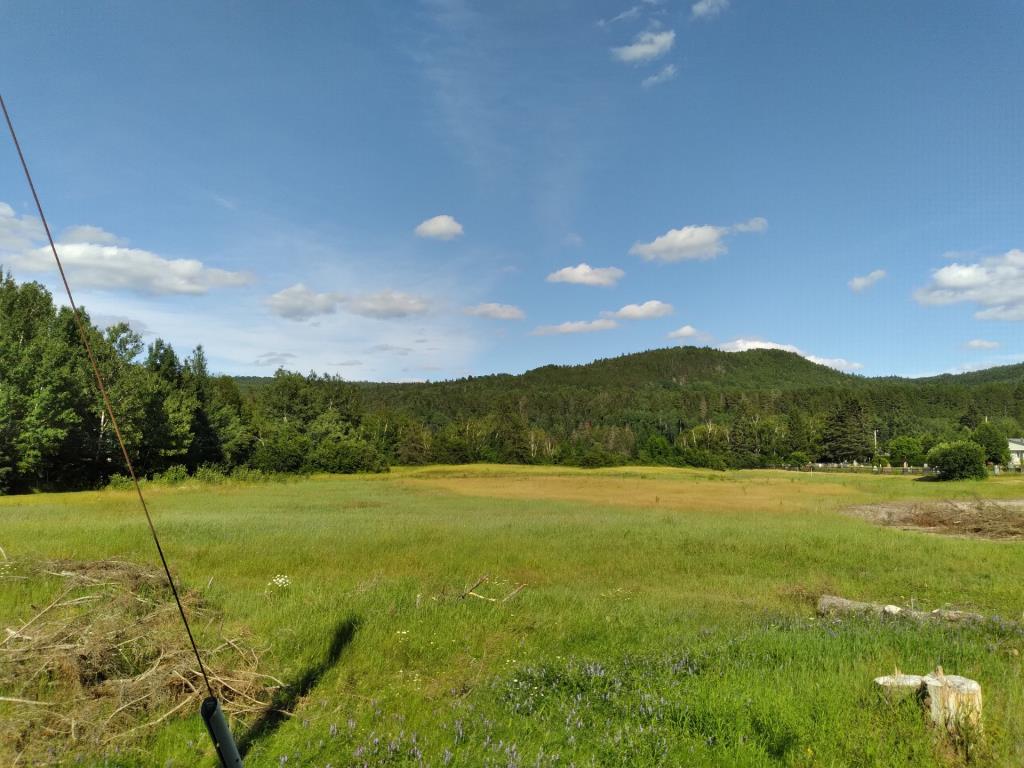 Terrain