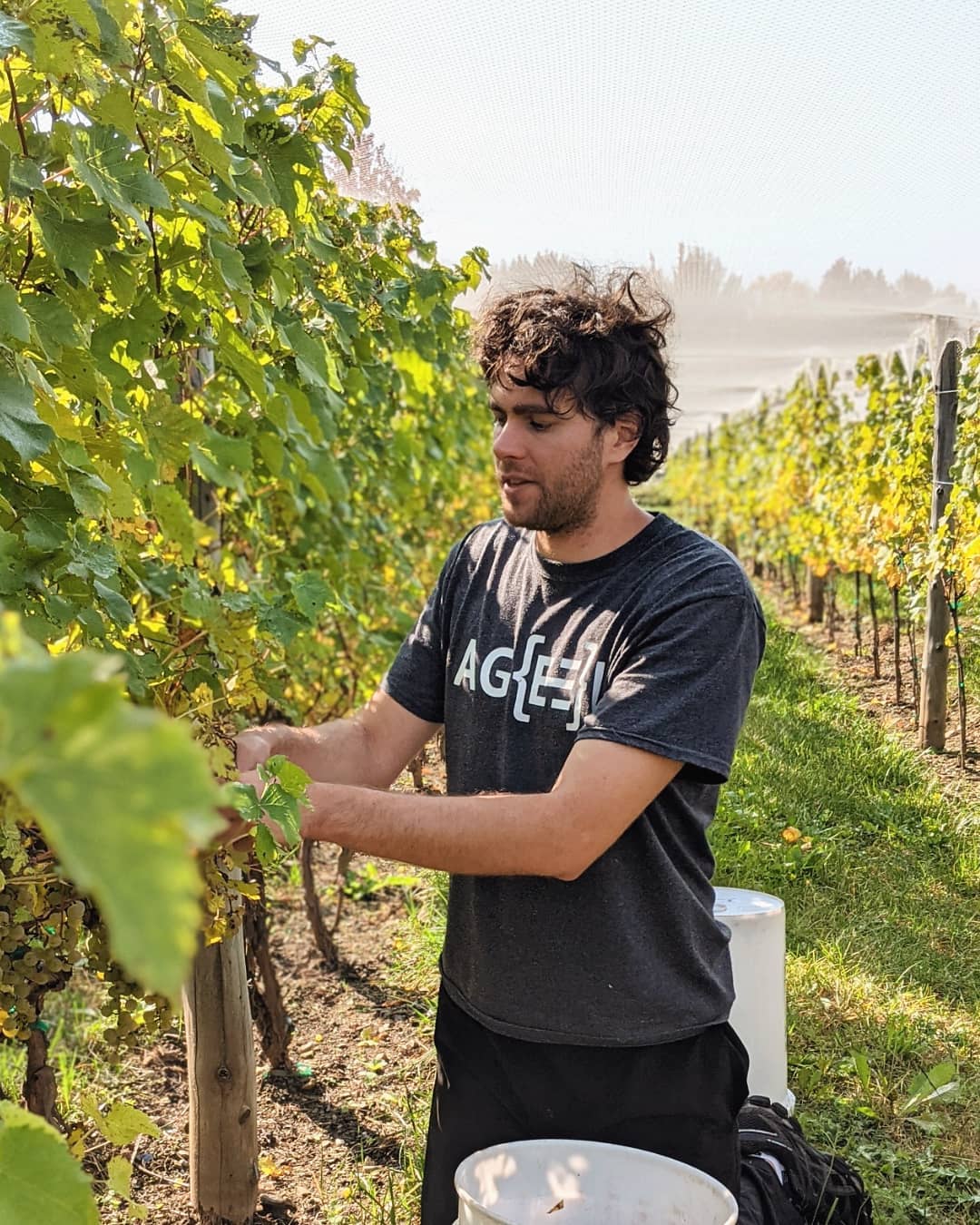 Domaine Bergeville