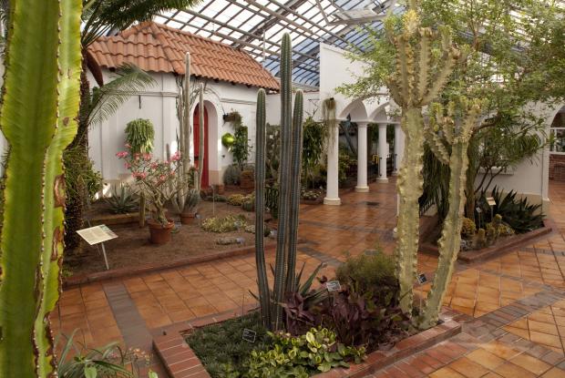 Baladez-vous dans les serres du Jardin Botanique