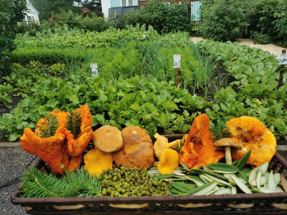 Les saveurs boréales