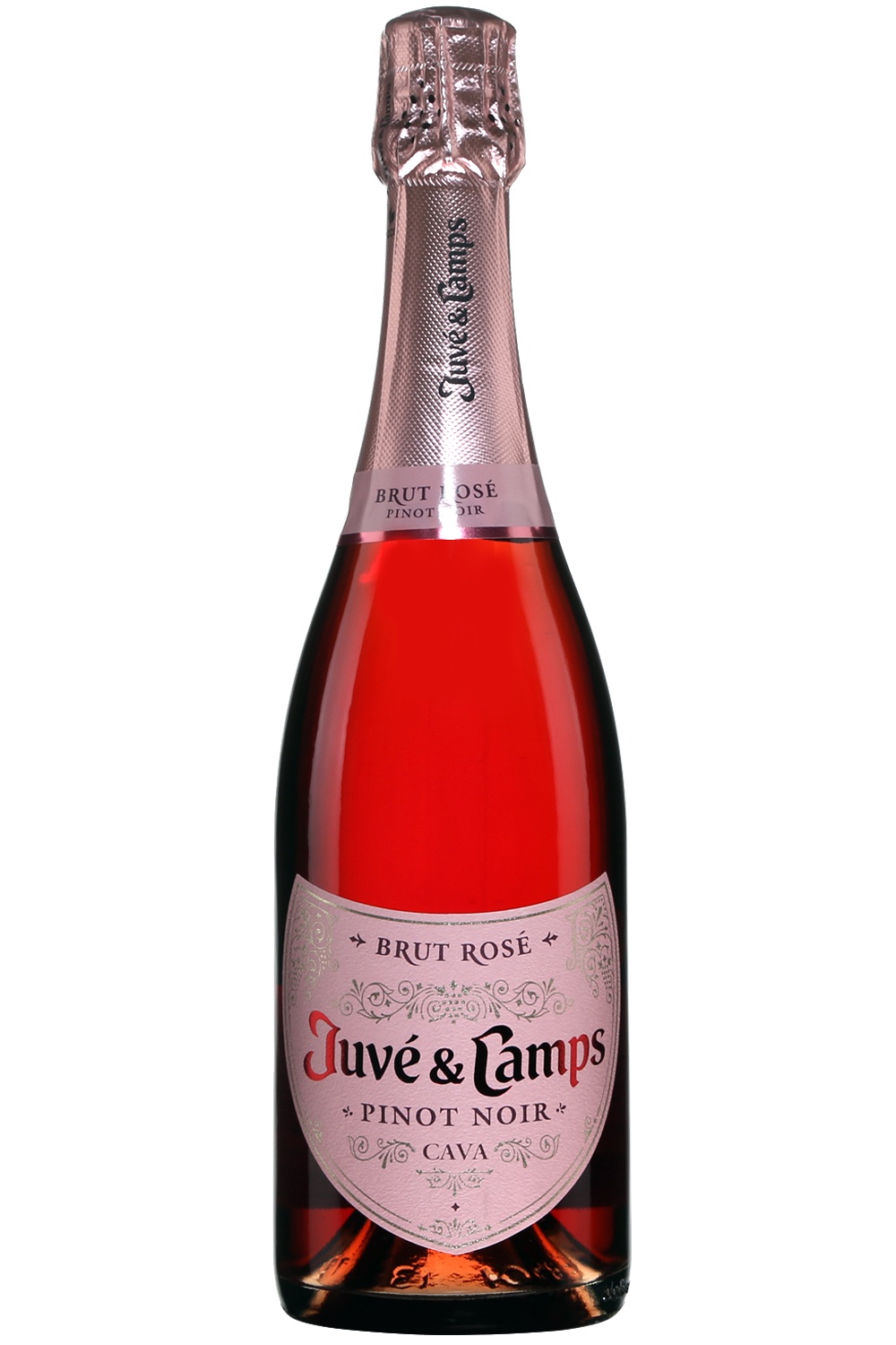 Juvé y Camps Brut Cava