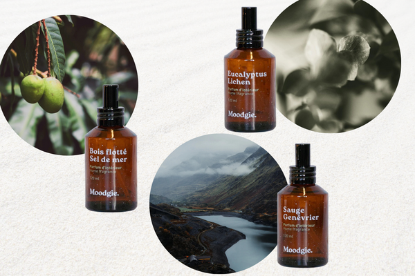 Parfums d'ambiance de Moodgie