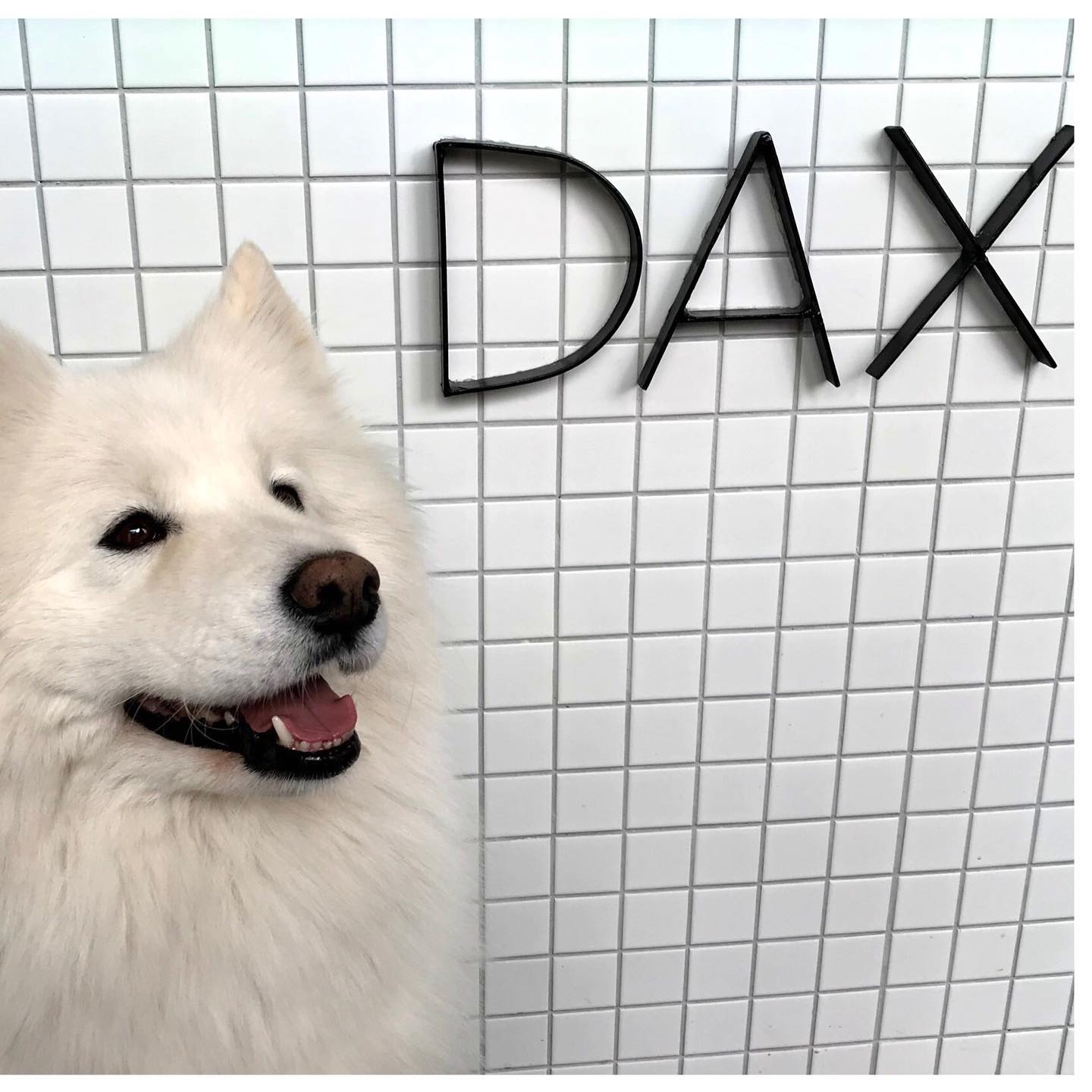 Café Dax