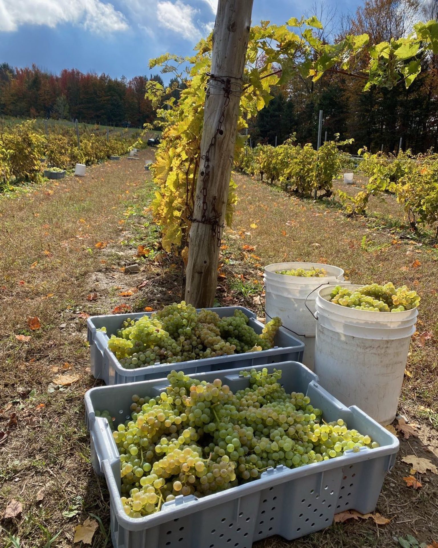 Domaine des Côtes d’Ardoise