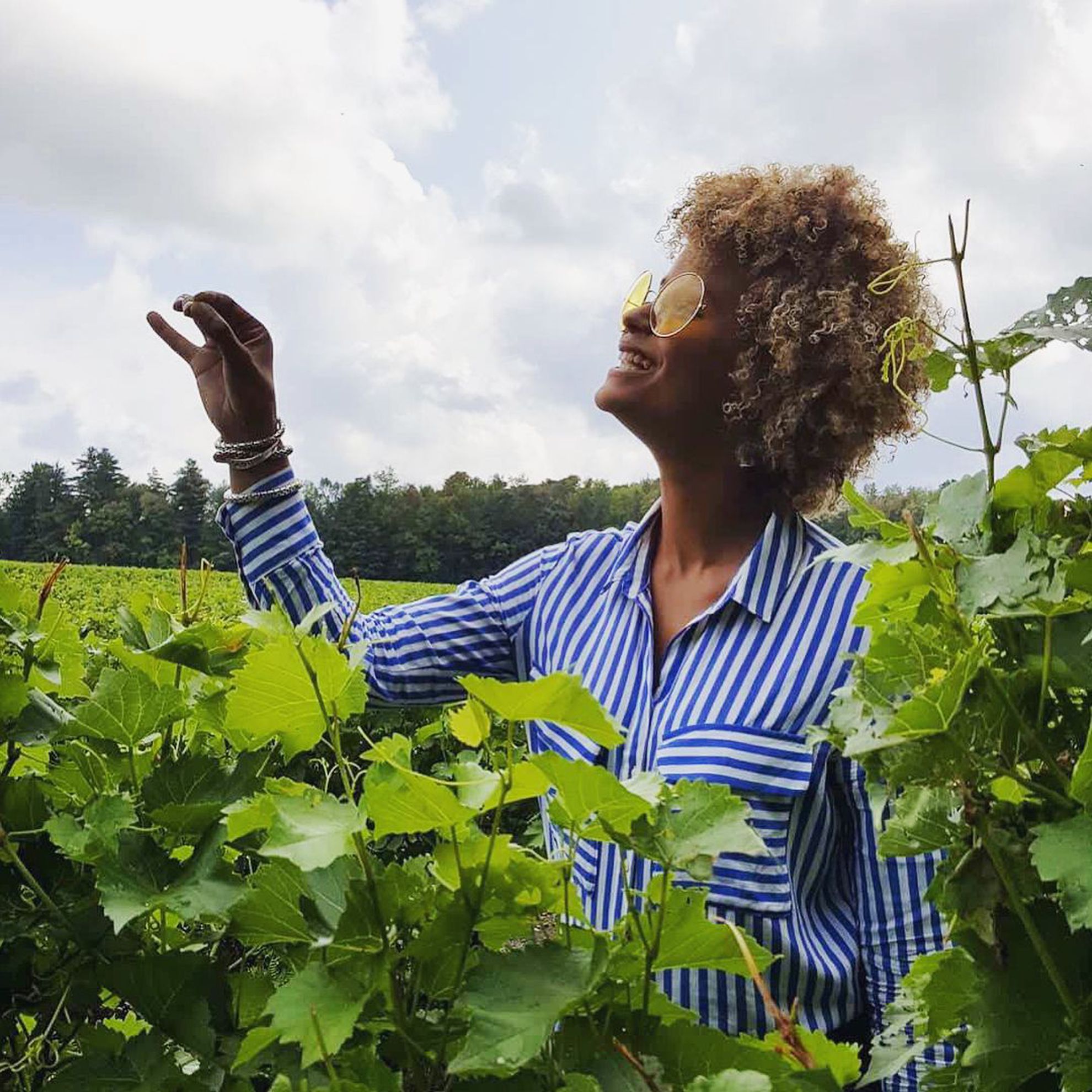 Vignoble Clos Ste-Croix
